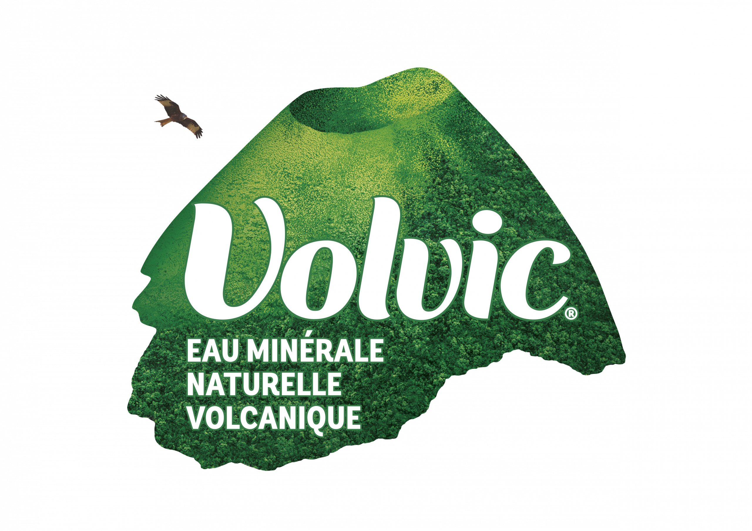 Volvic Logo FR_Plain (002)-mars 2025
