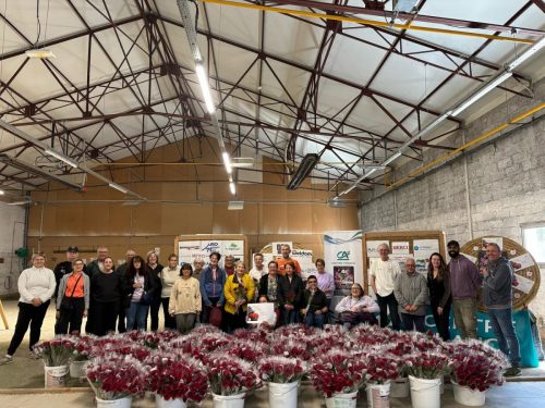 493288322 122148278288574626 7179781868695436464 n