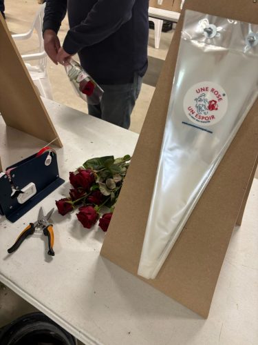 IMG-20250424-WA0059-1