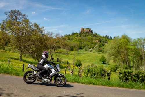 DSC 8285