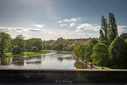 DSC 8529