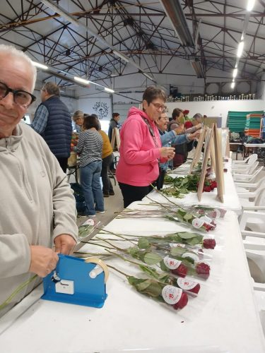 benevoles-roses-1